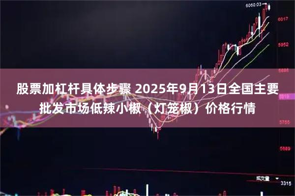 股票加杠杆具体步骤 2025年9月13日全国主要批发市场低辣小椒（灯笼椒）价格行情