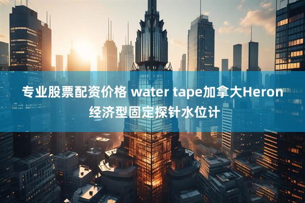 专业股票配资价格 water tape加拿大Heron 经济型固定探针水位计